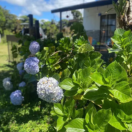 Casa Colibri, Monteverde